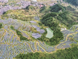 浙江淳安：光伏發電 助農增收